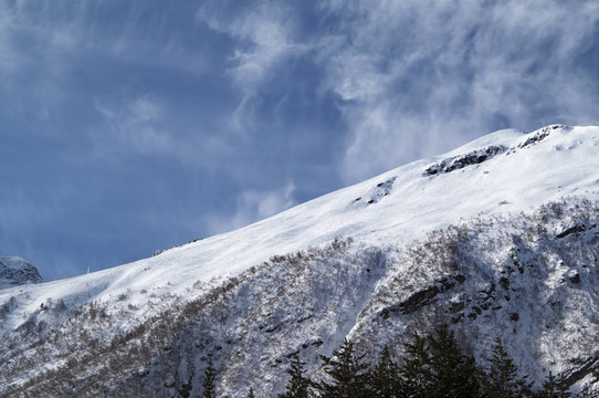 滑雪坡觀