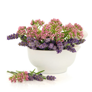 Valerian和薰衣草的花