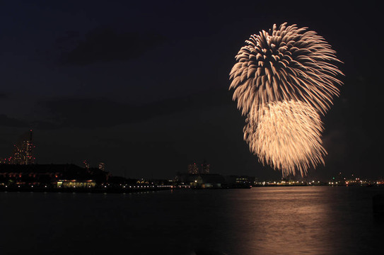 夜空的煙花