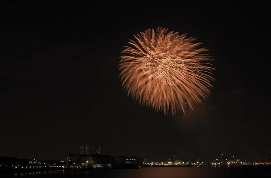 夜空的煙花
