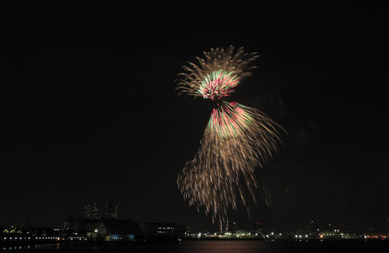 夜空的煙花