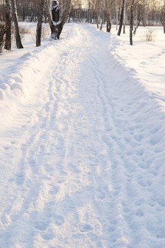 雪園