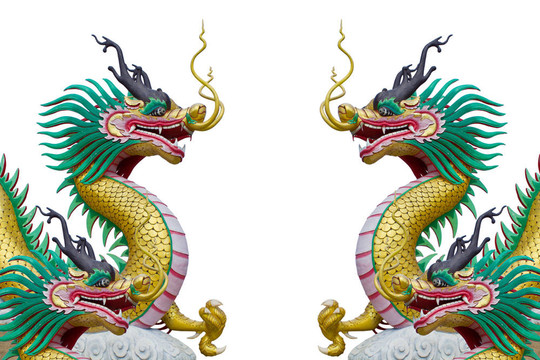 白色背景的中國美麗龍