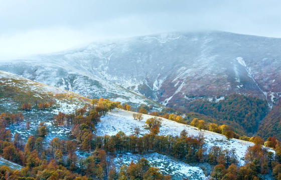 第一個冬天的雪和秋天五顏六色的樹葉在山上