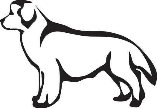 紐芬蘭犬