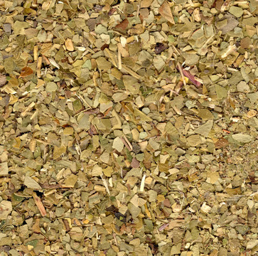 干燥的綠茶