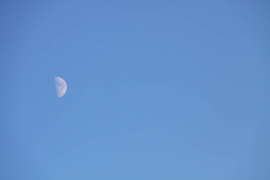 藍(lán)色天空中的月亮