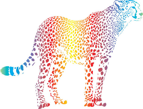 摘要彩虹獵豹