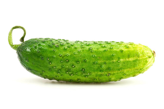黃瓜在白