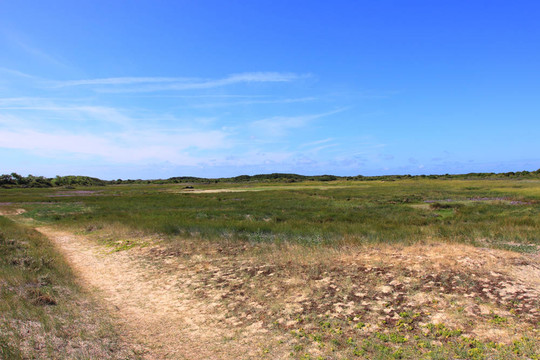 在對(duì)法國(guó)蛋白石海岸低潮的海景，沙灘
