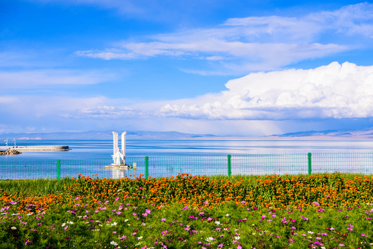 青海湖風(fēng)光