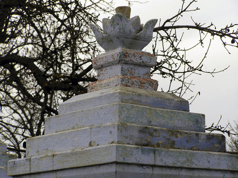trebuzheny西（Moldavia Trebujeni