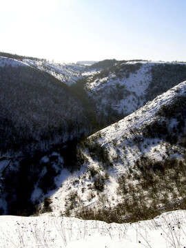 saharna西（Moldavia Saharna）