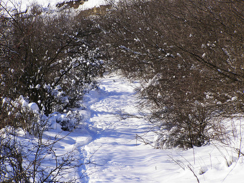 saharna西（Moldavia Saharna）