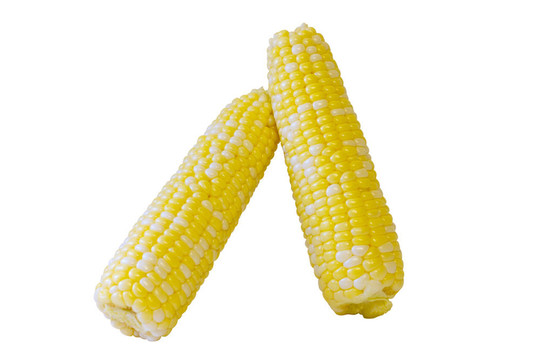 玉米鮮穗