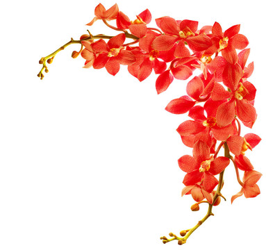 紅蘭邊境