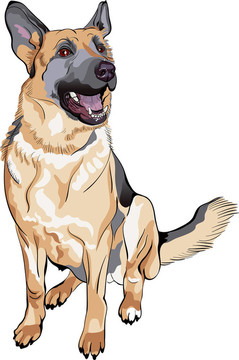 彩色素描狗德國牧羊犬品種