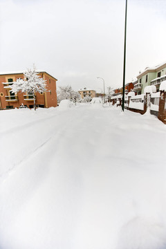 街上的雪
