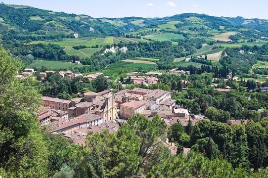 今年的全景。Emilia Romagna。意大利.