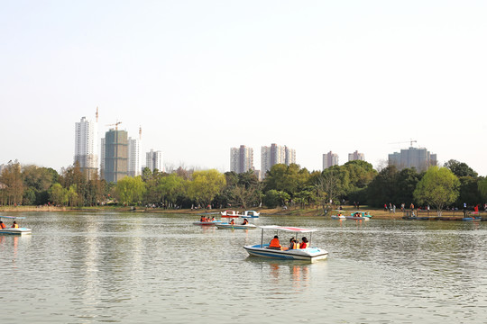 合肥植物園湖面泛舟