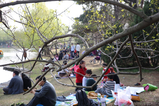 公園休閑家庭