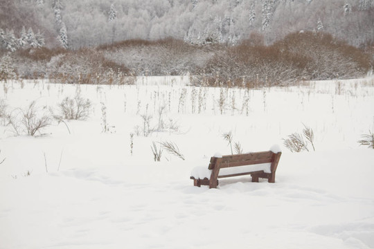 長凳上覆蓋著雪的野餐地