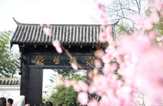合肥植物園梅園 花影