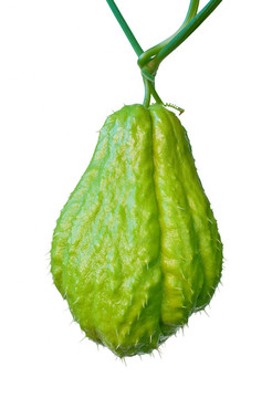 Chayote（佛手瓜）是一種可食用的植物屬于gourd家族的Cucurbitaceae；隨著瓜；黃