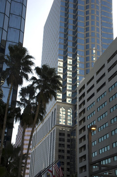 坦帕市區(qū)；佛羅里達(dá)州