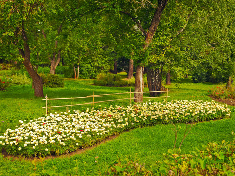 公園