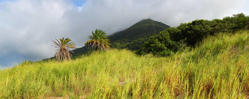 圣基茨島山liamuiga