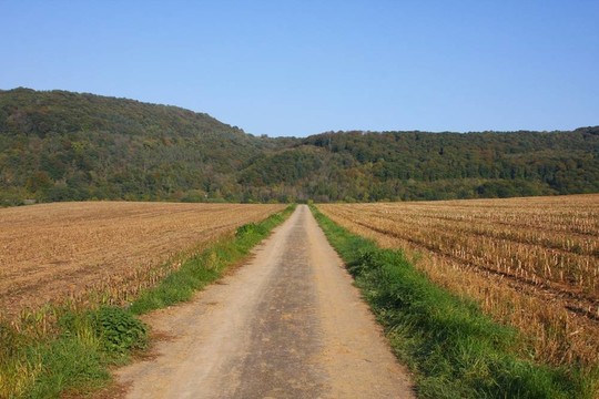 通過收獲的領(lǐng)域的一條道路