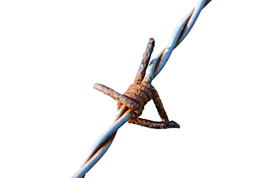 鐵絲網(wǎng)