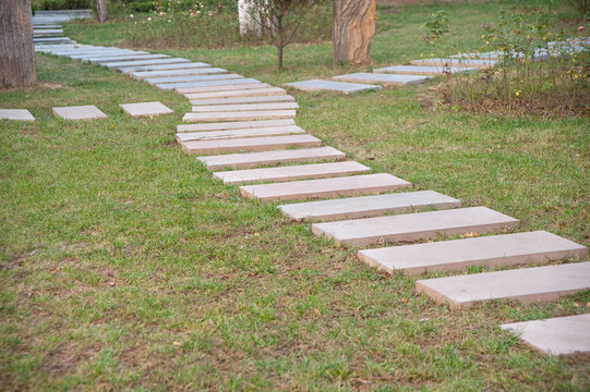 公園里的石頭路