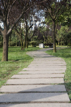 公園里的石頭路