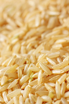 Brown rice顆粒