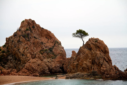 menuda損壞在濱海托薩海灘（布拉瓦海岸；西班牙）