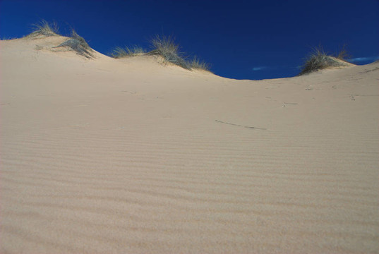 白色的沙丘；witsand；喀拉哈里沙漠