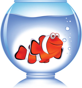小丑魚(yú)