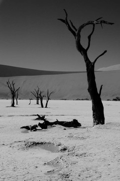 Dooie vlei（加州“死亡谷”）；Namib de
