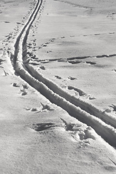 滑雪道