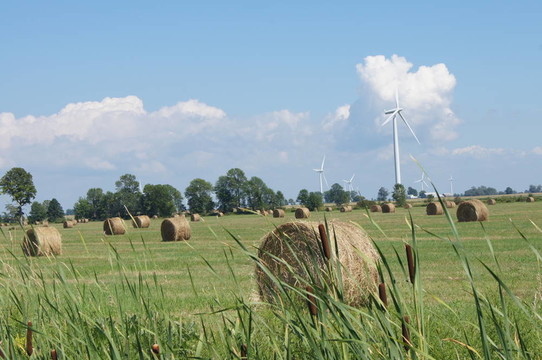 在現(xiàn)場的風(fēng)力渦輪機(jī)和Hay Bales