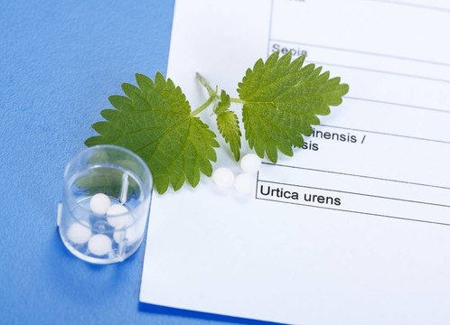 在順勢(shì)表Urica Urens和丸
