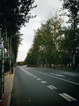 北京道路公交站行車線
