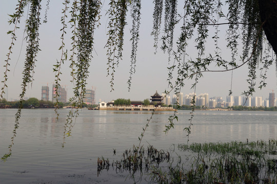 湖邊 蘇州