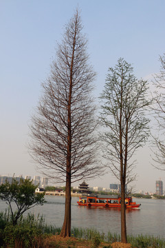 樹 游船 湖邊