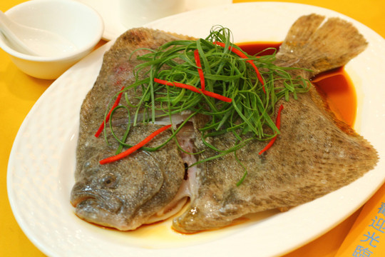多寶魚(yú)