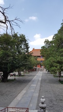 孔廟大成殿