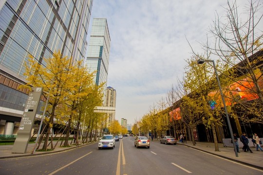成都遠(yuǎn)洋太古里