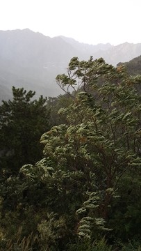 狂風(fēng)暴雨